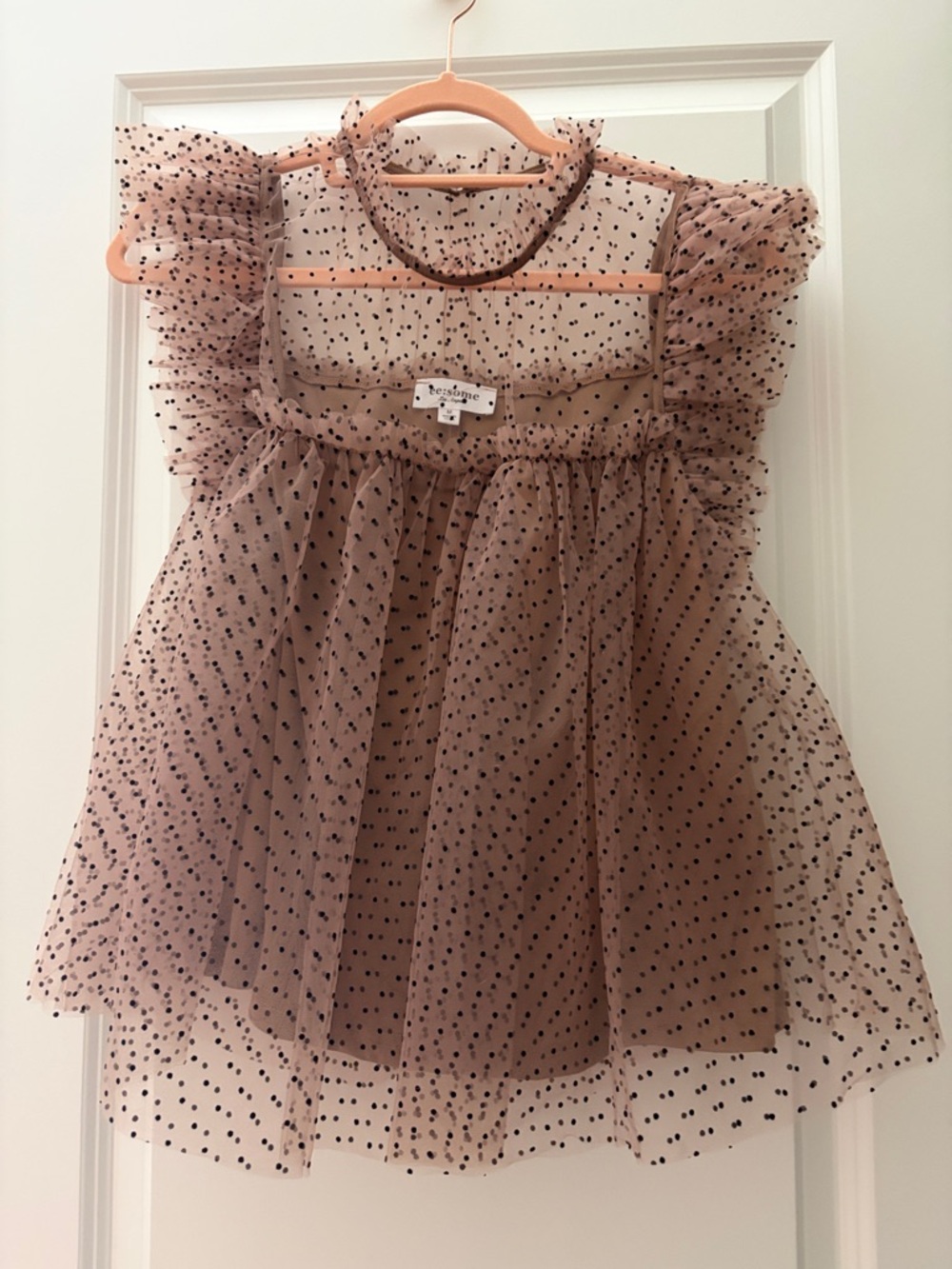 Sheer Polka Dot organza Ruffle Top - Beige /Taupe with Black Dots - lined